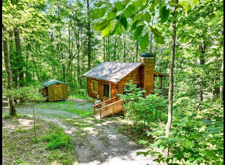 Open Studio Lodge At Little Rock Creek Cherry Log エクステリア 写真